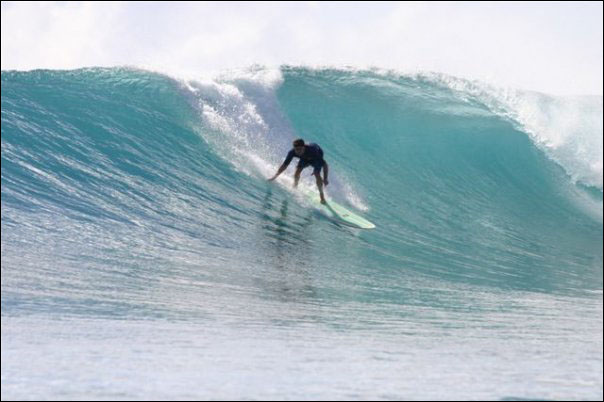 Dr. Morgan surfing in Indonesia